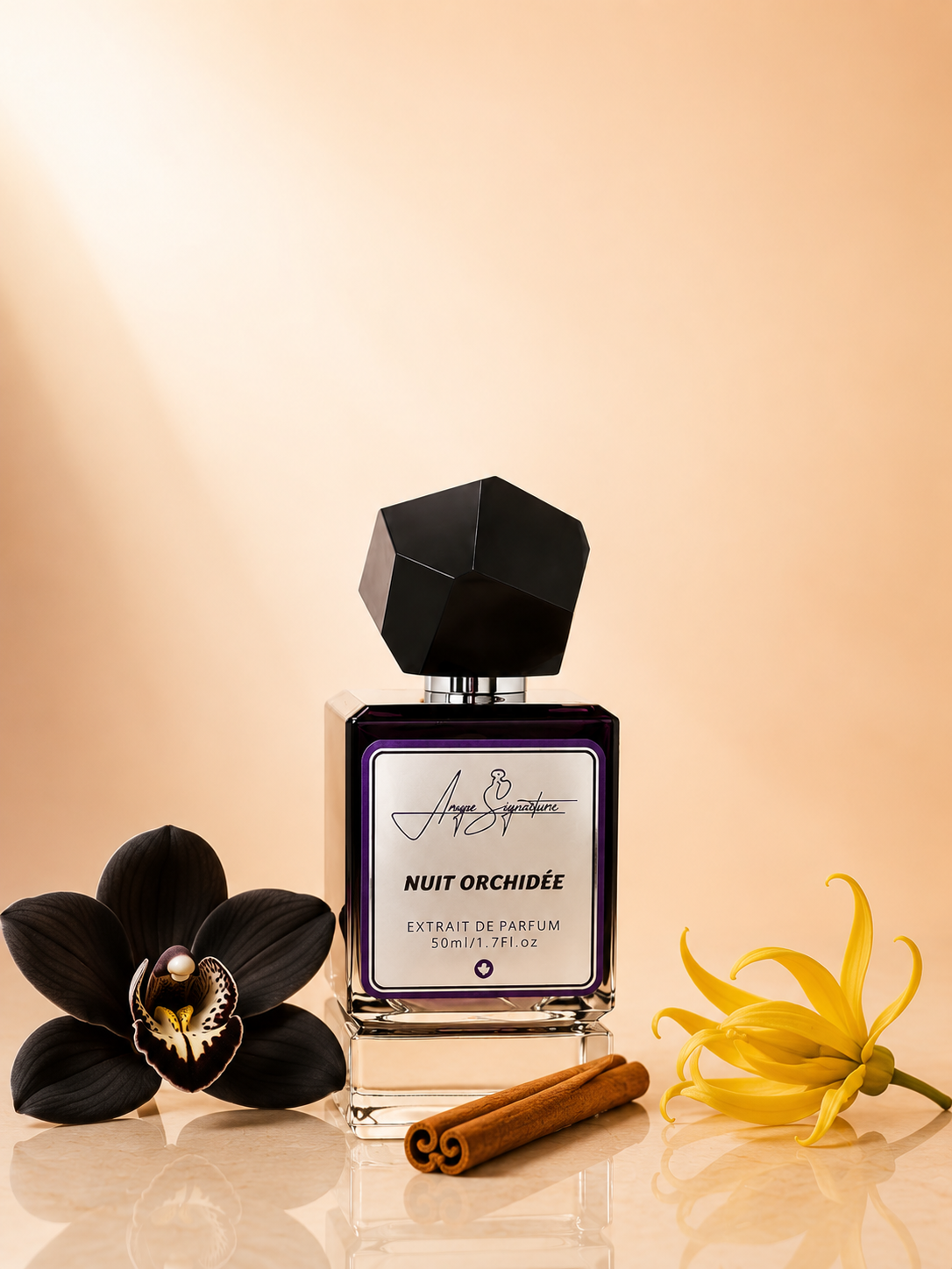 NUIT ORCHIDÉE