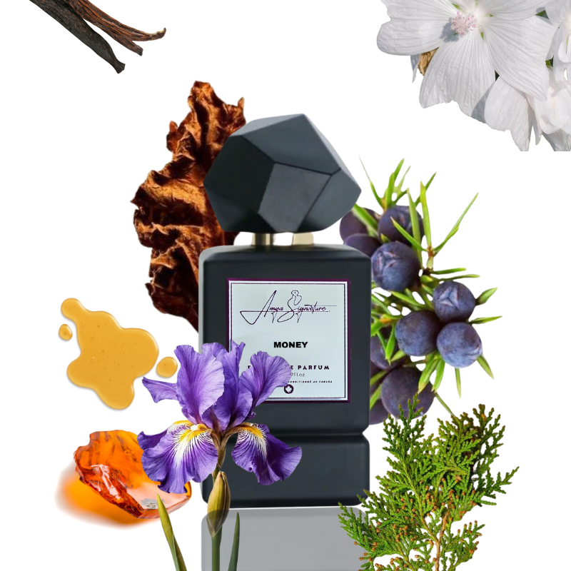 MONEY perfume fragrance notes chart – highlighting top, middle, and base ingredients like incense, vanilla, and leather